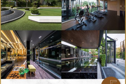 ขายบ้านเดี่ยว 2 ชั้น ใจกลางลาดพร้าว ซอย 1 โครงการ The Gallery House Pattern วิวสวน ขนาด 58 ตร.ว. 300 ตร.ม. ตกแต่งครบ พร้อมอยู่