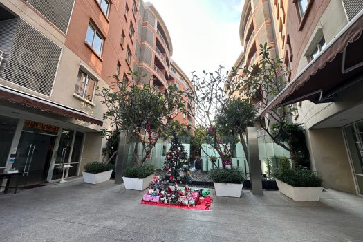 ขายราคาดีมาก คอนโด เดอะไรส์ 39 คอนโดใจกลางสุขุมวิท เดินทางสะดวก ห้องสวย สภาพดีมาก