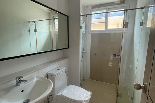 ขายบ้านเดี่ยว โครงการ the cityพระราม5-ราชพฤกษ์ บ้านสวย รีโนเวทใหม่ หลังมุม