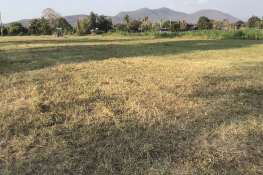 ขายที่ดินทำเลดีจังหวัดเชียงใหม่ อำเภอสันกำแพง ห่างสนามบินเชียงใหม่ เพียง 20 นาที