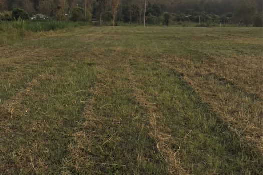 ขายที่ดินทำเลดีจังหวัดเชียงใหม่ อำเภอสันกำแพง ห่างสนามบินเชียงใหม่ เพียง 20 นาที