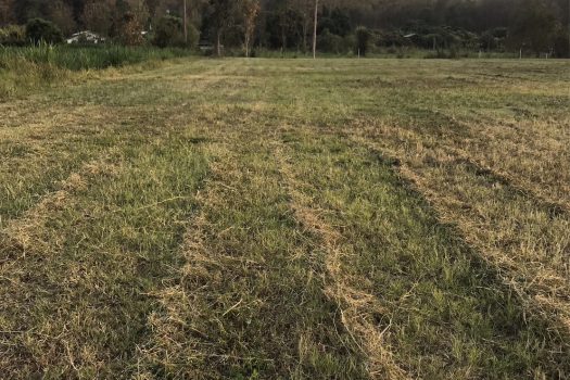 ขายที่ดินทำเลดีจังหวัดเชียงใหม่ อำเภอสันกำแพง ห่างสนามบินเชียงใหม่ เพียง 20 นาที