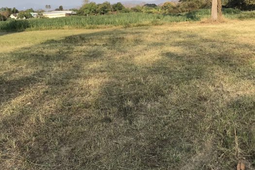 ขายที่ดินทำเลดีจังหวัดเชียงใหม่ อำเภอสันกำแพง ห่างสนามบินเชียงใหม่ เพียง 20 นาที