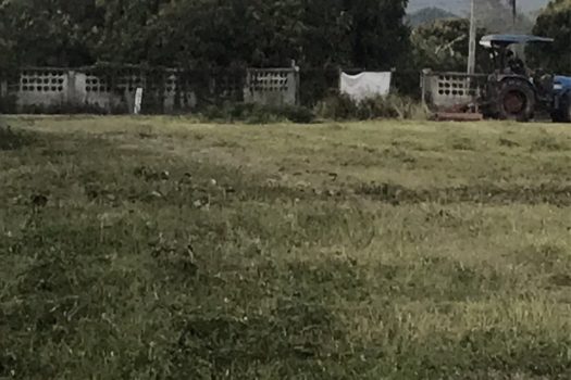 ขายที่ดินทำเลดีจังหวัดเชียงใหม่ อำเภอสันกำแพง ห่างสนามบินเชียงใหม่ เพียง 20 นาที