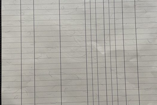 ขายที่ดินทำเลดีจังหวัดเชียงใหม่ อำเภอสันกำแพง ห่างสนามบินเชียงใหม่ เพียง 20 นาที