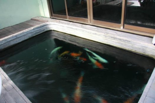 ขายบ้านเดี่ยว 2 ชั้น ซอยวิภาวดี 16 (ซอยโชคชัยร่วมมิตร) ทำเลดีมาก เดินทางสะดวก เข้าออกได้หลายทาง 200ตร.ว. พื้นที่ใช้สอยประมาณ 400 ตารางเมตร