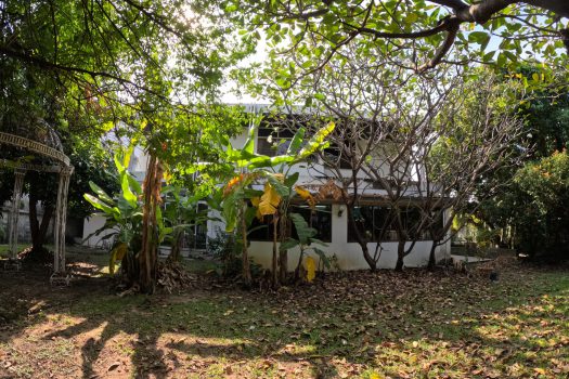 ขายบ้านเดี่ยว 2 ชั้น ซอยวิภาวดี 16 (ซอยโชคชัยร่วมมิตร) ทำเลดีมาก เดินทางสะดวก เข้าออกได้หลายทาง 200ตร.ว. พื้นที่ใช้สอยประมาณ 400 ตารางเมตร