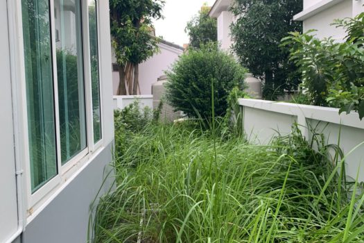 บ้านเดี่ยว Perfect Place 2 รามคำแหง 174 บ้านสวย หลังมุม พื้นที่กว้าง ร่มรื่น ใกล้รถไฟฟ้า หิ้วกระเป๋าอยู่ได้เลย ราคานี้ อยู่เองก็คุ้ม ลงทุนก็คุ้มค่า