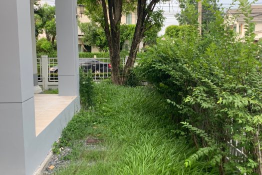 บ้านเดี่ยว Perfect Place 2 รามคำแหง 174 บ้านสวย หลังมุม พื้นที่กว้าง ร่มรื่น ใกล้รถไฟฟ้า หิ้วกระเป๋าอยู่ได้เลย ราคานี้ อยู่เองก็คุ้ม ลงทุนก็คุ้มค่า