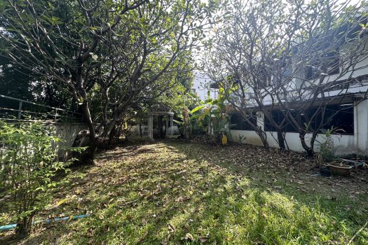 ขายบ้านเดี่ยว 2 ชั้น ซอยวิภาวดี 16 (ซอยโชคชัยร่วมมิตร) ทำเลดีมาก เดินทางสะดวก เข้าออกได้หลายทาง 200ตร.ว. พื้นที่ใช้สอยประมาณ 400 ตารางเมตร