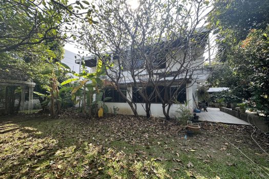 ขายบ้านเดี่ยว 2 ชั้น ซอยวิภาวดี 16 (ซอยโชคชัยร่วมมิตร) ทำเลดีมาก เดินทางสะดวก เข้าออกได้หลายทาง 200ตร.ว. พื้นที่ใช้สอยประมาณ 400 ตารางเมตร