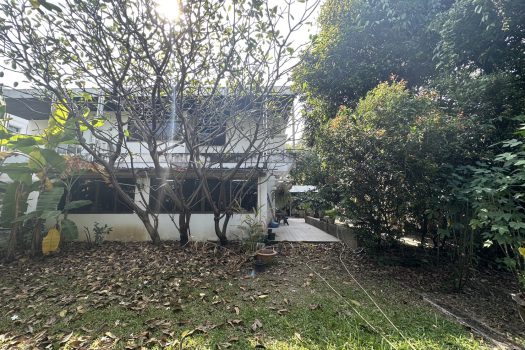 ขายบ้านเดี่ยว 2 ชั้น ซอยวิภาวดี 16 (ซอยโชคชัยร่วมมิตร) ทำเลดีมาก เดินทางสะดวก เข้าออกได้หลายทาง 200ตร.ว. พื้นที่ใช้สอยประมาณ 400 ตารางเมตร