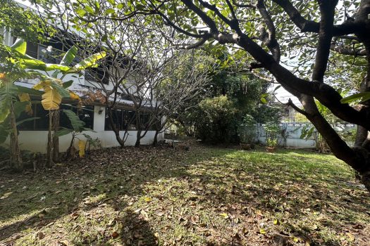 ขายบ้านเดี่ยว 2 ชั้น ซอยวิภาวดี 16 (ซอยโชคชัยร่วมมิตร) ทำเลดีมาก เดินทางสะดวก เข้าออกได้หลายทาง 200ตร.ว. พื้นที่ใช้สอยประมาณ 400 ตารางเมตร