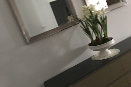 เช่า คอนโด Tower Park 3 ห้องนอน 3 ห้องน้ำ 265 ตร.ม. ชั้น 5 แต่งสวย ใกล้ BTS นานา