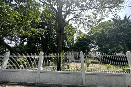 ให้เช่า ที่ดิน 400 ตร.ว. พร้อมบ้าน ในซอยประดิพัทธ์ ทำเลดี ทำร้านอาหาร คาเฟ่ ทำสตูดิโอ ถ่ายหนัง