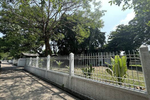 ให้เช่า ที่ดิน 400 ตร.ว. พร้อมบ้าน ในซอยประดิพัทธ์ ทำเลดี ทำร้านอาหาร คาเฟ่ ทำสตูดิโอ ถ่ายหนัง