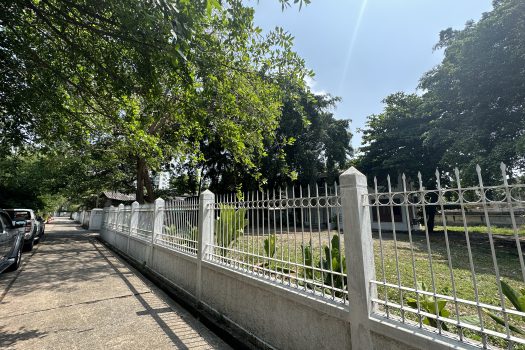 ให้เช่า ที่ดิน 400 ตร.ว. พร้อมบ้าน ในซอยประดิพัทธ์ ทำเลดี ทำร้านอาหาร คาเฟ่ ทำสตูดิโอ ถ่ายหนัง