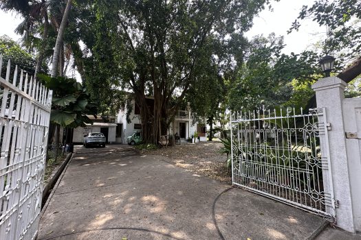 ให้เช่า ที่ดิน 400 ตร.ว. พร้อมบ้าน ในซอยประดิพัทธ์ ทำเลดี ทำร้านอาหาร คาเฟ่ ทำสตูดิโอ ถ่ายหนัง