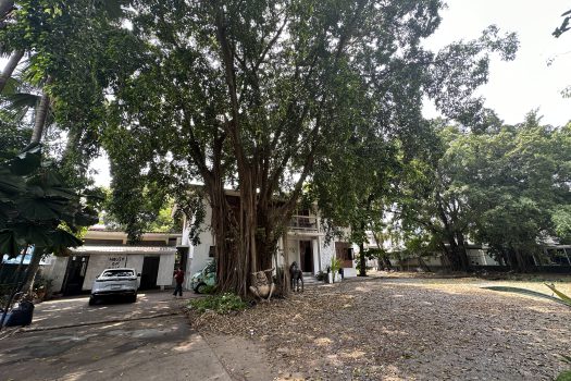 ให้เช่า ที่ดิน 400 ตร.ว. พร้อมบ้าน ในซอยประดิพัทธ์ ทำเลดี ทำร้านอาหาร คาเฟ่ ทำสตูดิโอ ถ่ายหนัง