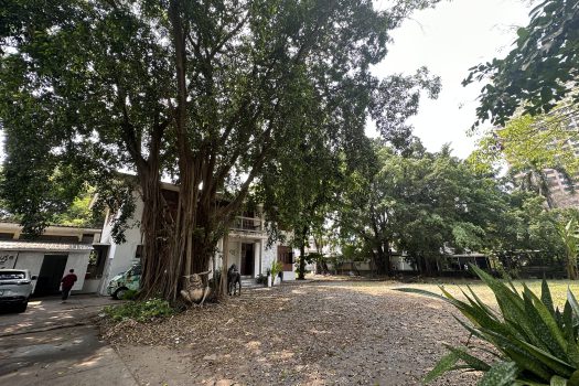 ให้เช่า ที่ดิน 400 ตร.ว. พร้อมบ้าน ในซอยประดิพัทธ์ ทำเลดี ทำร้านอาหาร คาเฟ่ ทำสตูดิโอ ถ่ายหนัง