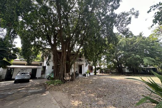 ให้เช่า ที่ดิน 400 ตร.ว. พร้อมบ้าน ในซอยประดิพัทธ์ ทำเลดี ทำร้านอาหาร คาเฟ่ ทำสตูดิโอ ถ่ายหนัง