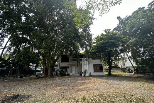 ให้เช่า ที่ดิน 400 ตร.ว. พร้อมบ้าน ในซอยประดิพัทธ์ ทำเลดี ทำร้านอาหาร คาเฟ่ ทำสตูดิโอ ถ่ายหนัง