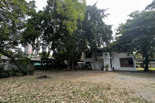 ให้เช่า ที่ดิน 400 ตร.ว. พร้อมบ้าน ในซอยประดิพัทธ์ ทำเลดี ทำร้านอาหาร คาเฟ่ ทำสตูดิโอ ถ่ายหนัง