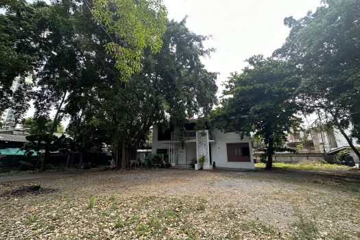 ให้เช่า ที่ดิน 400 ตร.ว. พร้อมบ้าน ในซอยประดิพัทธ์ ทำเลดี ทำร้านอาหาร คาเฟ่ ทำสตูดิโอ ถ่ายหนัง