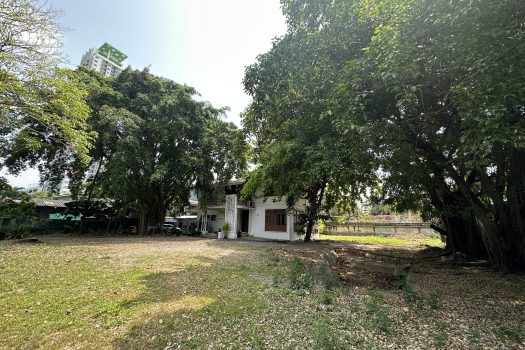 ให้เช่า ที่ดิน 400 ตร.ว. พร้อมบ้าน ในซอยประดิพัทธ์ ทำเลดี ทำร้านอาหาร คาเฟ่ ทำสตูดิโอ ถ่ายหนัง