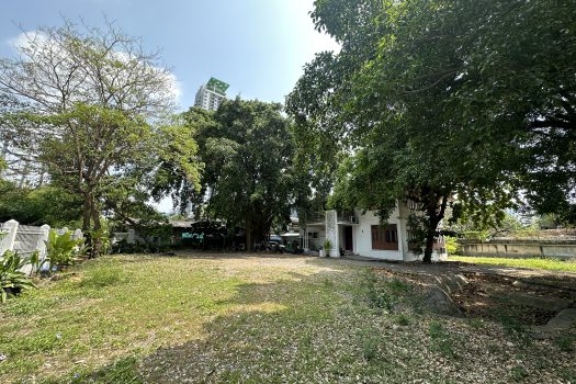 ให้เช่า ที่ดิน 400 ตร.ว. พร้อมบ้าน ในซอยประดิพัทธ์ ทำเลดี ทำร้านอาหาร คาเฟ่ ทำสตูดิโอ ถ่ายหนัง