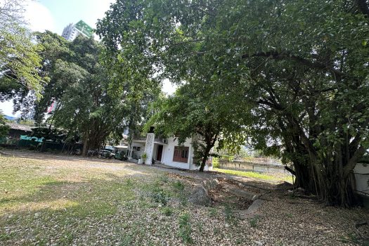 ให้เช่า ที่ดิน 400 ตร.ว. พร้อมบ้าน ในซอยประดิพัทธ์ ทำเลดี ทำร้านอาหาร คาเฟ่ ทำสตูดิโอ ถ่ายหนัง