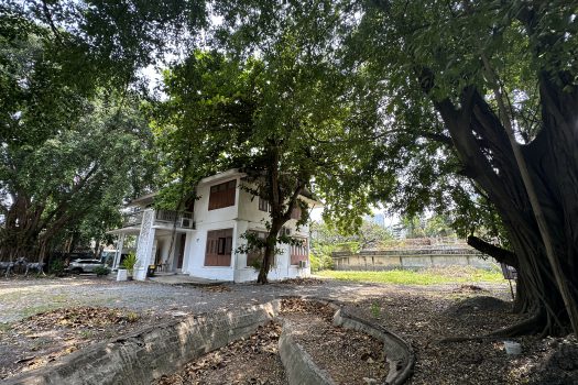 ให้เช่า ที่ดิน 400 ตร.ว. พร้อมบ้าน ในซอยประดิพัทธ์ ทำเลดี ทำร้านอาหาร คาเฟ่ ทำสตูดิโอ ถ่ายหนัง