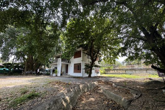 ให้เช่า ที่ดิน 400 ตร.ว. พร้อมบ้าน ในซอยประดิพัทธ์ ทำเลดี ทำร้านอาหาร คาเฟ่ ทำสตูดิโอ ถ่ายหนัง