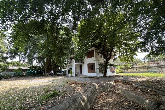 ให้เช่า ที่ดิน 400 ตร.ว. พร้อมบ้าน ในซอยประดิพัทธ์ ทำเลดี ทำร้านอาหาร คาเฟ่ ทำสตูดิโอ ถ่ายหนัง