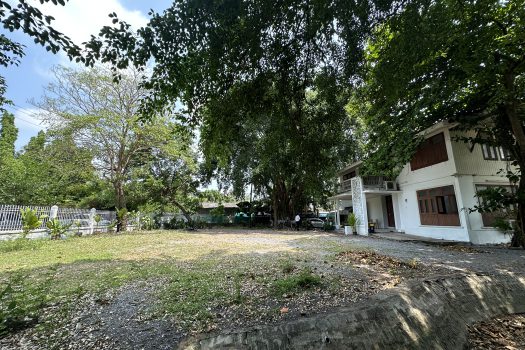 ให้เช่า ที่ดิน 400 ตร.ว. พร้อมบ้าน ในซอยประดิพัทธ์ ทำเลดี ทำร้านอาหาร คาเฟ่ ทำสตูดิโอ ถ่ายหนัง