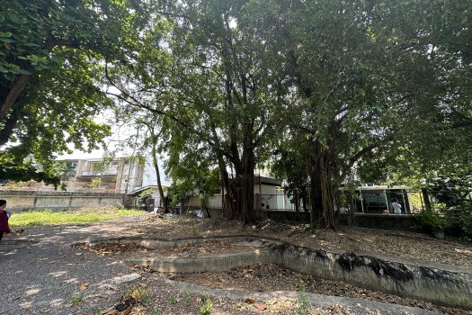 ให้เช่า ที่ดิน 400 ตร.ว. พร้อมบ้าน ในซอยประดิพัทธ์ ทำเลดี ทำร้านอาหาร คาเฟ่ ทำสตูดิโอ ถ่ายหนัง