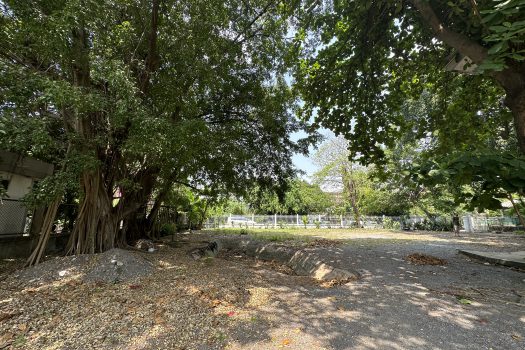 ให้เช่า ที่ดิน 400 ตร.ว. พร้อมบ้าน ในซอยประดิพัทธ์ ทำเลดี ทำร้านอาหาร คาเฟ่ ทำสตูดิโอ ถ่ายหนัง