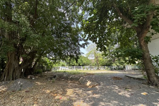 ให้เช่า ที่ดิน 400 ตร.ว. พร้อมบ้าน ในซอยประดิพัทธ์ ทำเลดี ทำร้านอาหาร คาเฟ่ ทำสตูดิโอ ถ่ายหนัง