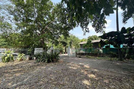 ให้เช่า ที่ดิน 400 ตร.ว. พร้อมบ้าน ในซอยประดิพัทธ์ ทำเลดี ทำร้านอาหาร คาเฟ่ ทำสตูดิโอ ถ่ายหนัง