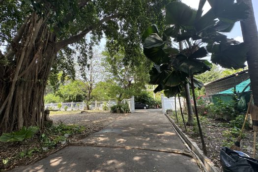 ให้เช่า ที่ดิน 400 ตร.ว. พร้อมบ้าน ในซอยประดิพัทธ์ ทำเลดี ทำร้านอาหาร คาเฟ่ ทำสตูดิโอ ถ่ายหนัง