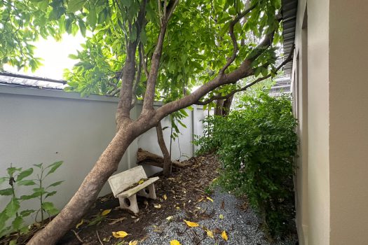 For RENT: ให้เช่า บ้านเดี่ยว ซอย อ่อนนุช 53 ทำเลดี 6 ห้องนอน เหมาะสำหรับครอบครัวใหญ่ Function ครบ พร้อมสระว่ายน้ำส่วนตัว 🏡