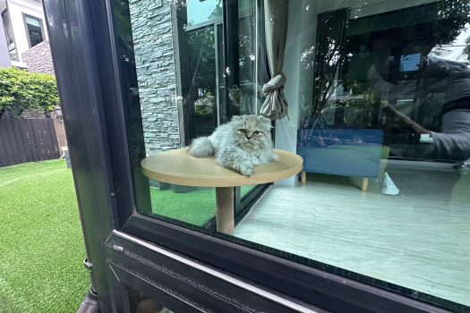 ให้เช่า บ้าน มัณฑนา พระราม 9 ซอย กรุงเทพกรีฑา 7