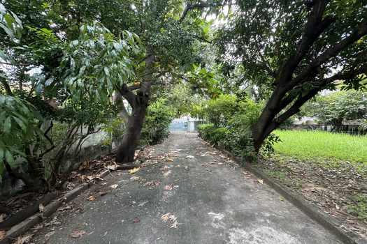 ขายที่ดินพร้อมสิ่งปลูกสร้างในซอยพหลโยธิน 2 เนื้อที่ 256 ตร.ว. เดินทางสะดวกมาก