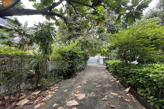 ขายที่ดินพร้อมสิ่งปลูกสร้างในซอยพหลโยธิน 2 เนื้อที่ 256 ตร.ว. เดินทางสะดวกมาก