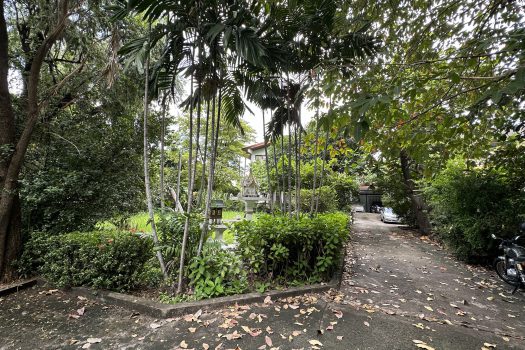 ขายที่ดินพร้อมสิ่งปลูกสร้างในซอยพหลโยธิน 2 เนื้อที่ 256 ตร.ว. เดินทางสะดวกมาก