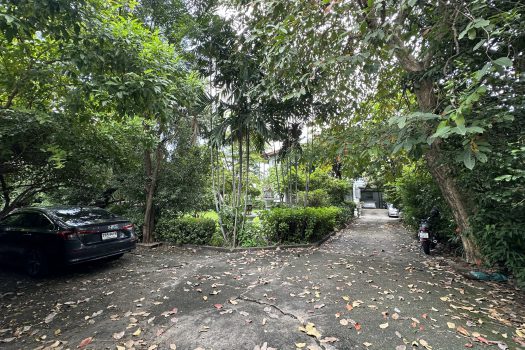 ขายที่ดินพร้อมสิ่งปลูกสร้างในซอยพหลโยธิน 2 เนื้อที่ 256 ตร.ว. เดินทางสะดวกมาก