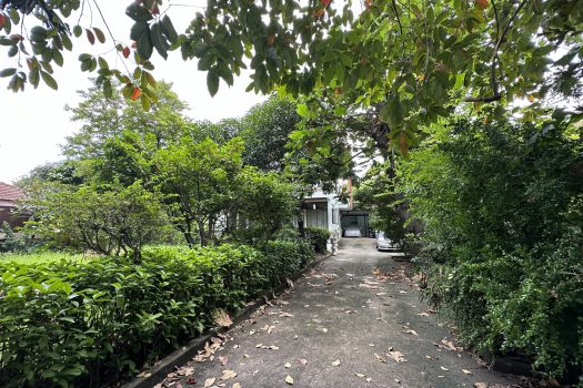 ขายที่ดินพร้อมสิ่งปลูกสร้างในซอยพหลโยธิน 2 เนื้อที่ 256 ตร.ว. เดินทางสะดวกมาก