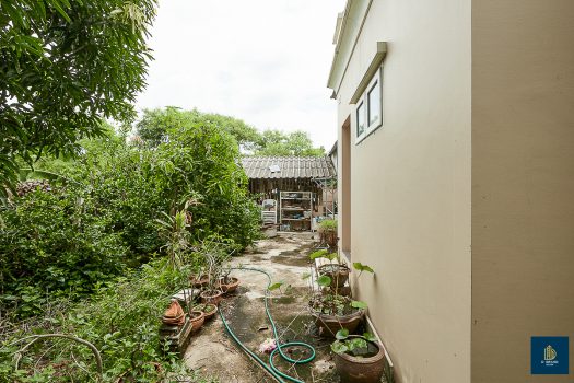 ขายบ้านเดี่ยวสร้างเอง 161.9 ตร.วา 5 ห้องนอน ใกล้ถนนกาญจนาภิเษก เหมาะสำหรับคนชอบบ้านที่ร่มรื่น เงียบสงบ มีพื้นที่ทำสวน ปลูกต้นไม้