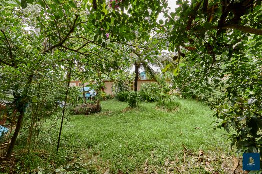 ขายบ้านเดี่ยวสร้างเอง 161.9 ตร.วา 5 ห้องนอน ใกล้ถนนกาญจนาภิเษก เหมาะสำหรับคนชอบบ้านที่ร่มรื่น เงียบสงบ มีพื้นที่ทำสวน ปลูกต้นไม้