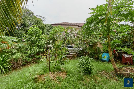 ขายบ้านเดี่ยวสร้างเอง 161.9 ตร.วา 5 ห้องนอน ใกล้ถนนกาญจนาภิเษก เหมาะสำหรับคนชอบบ้านที่ร่มรื่น เงียบสงบ มีพื้นที่ทำสวน ปลูกต้นไม้